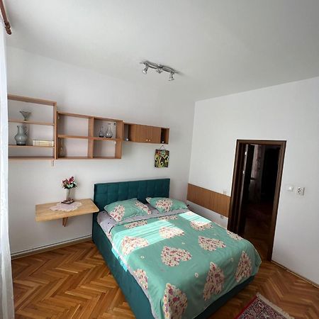 Balcescu Alina'S Apartament シビウ エクステリア 写真