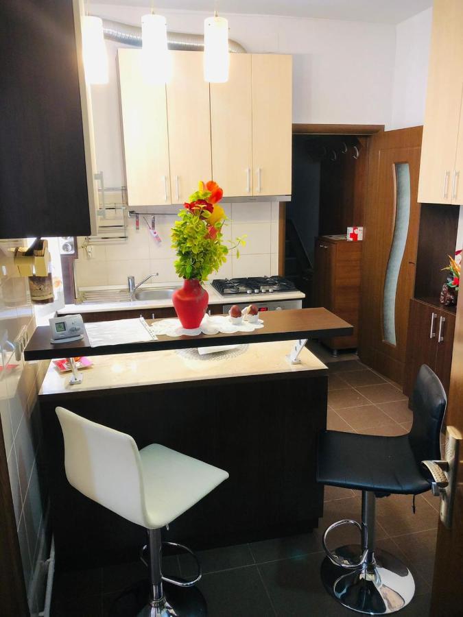 Balcescu Alina'S Apartament シビウ エクステリア 写真